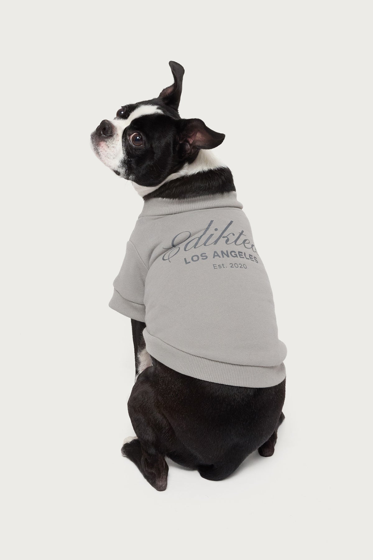 Get Edikted Pet Sweatshirt - Image 2