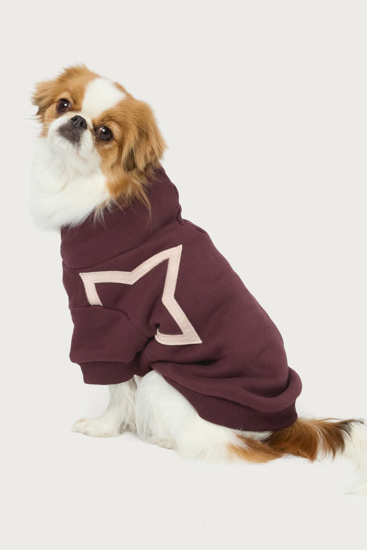 Starly Pet Hoodie - Image 2