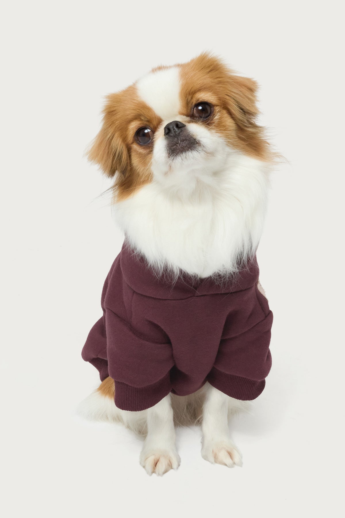Starly Pet Hoodie - Image 3