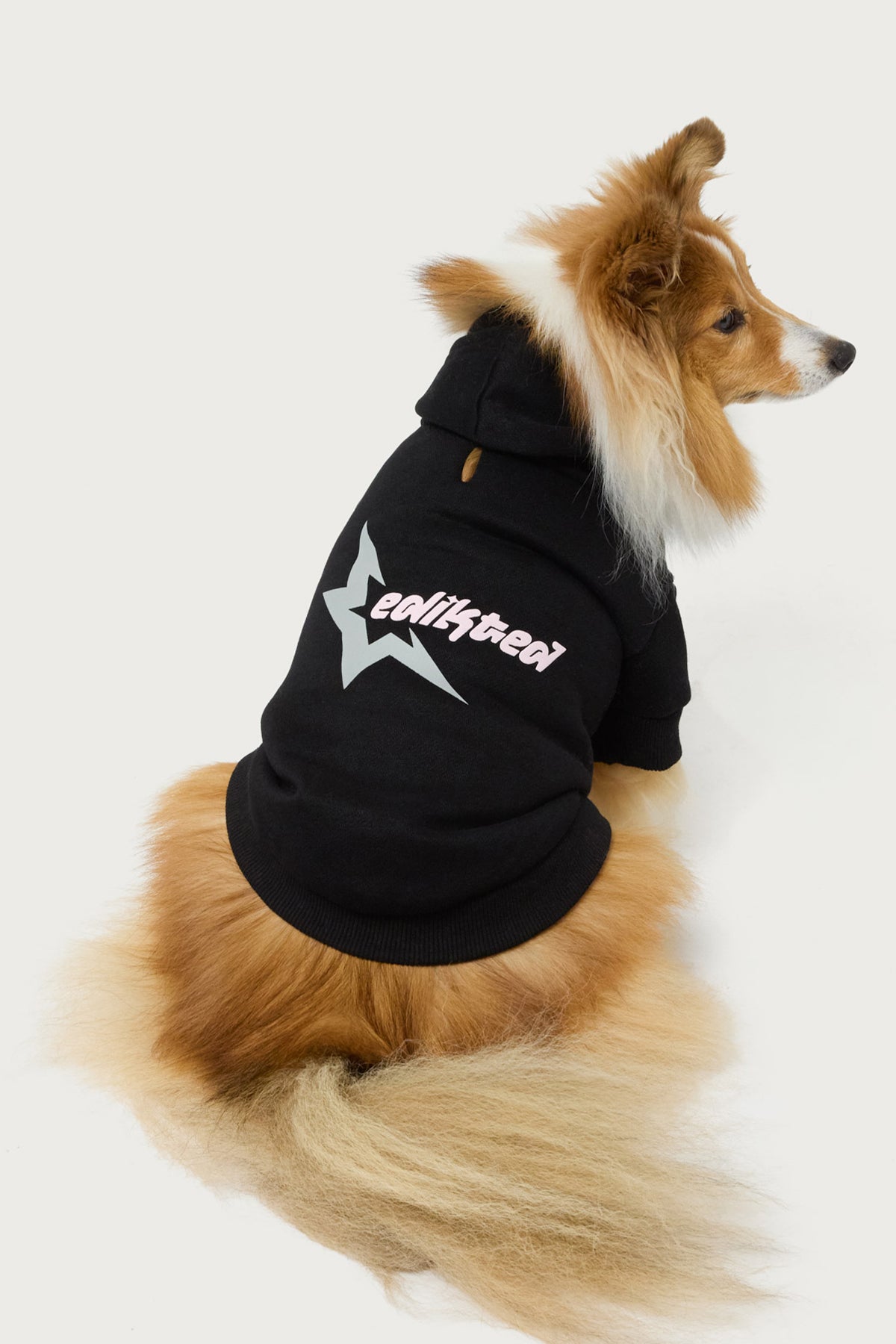Edikted Star Pet Hoodie - Image 3