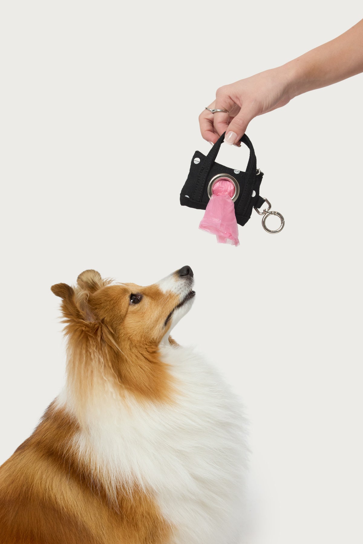 Tidy Tote Poop Bag Holder - Image 2