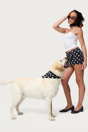 Pawka Dot Edikted Pet Bandana